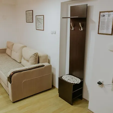 Dinka Hotel apartamentowy Sokobanja