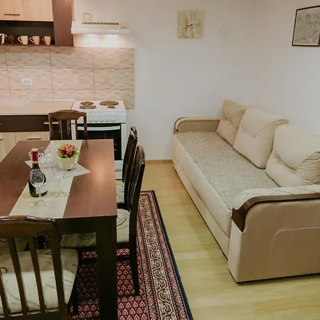 Hotel apartamentowy Dinka Sokobanja